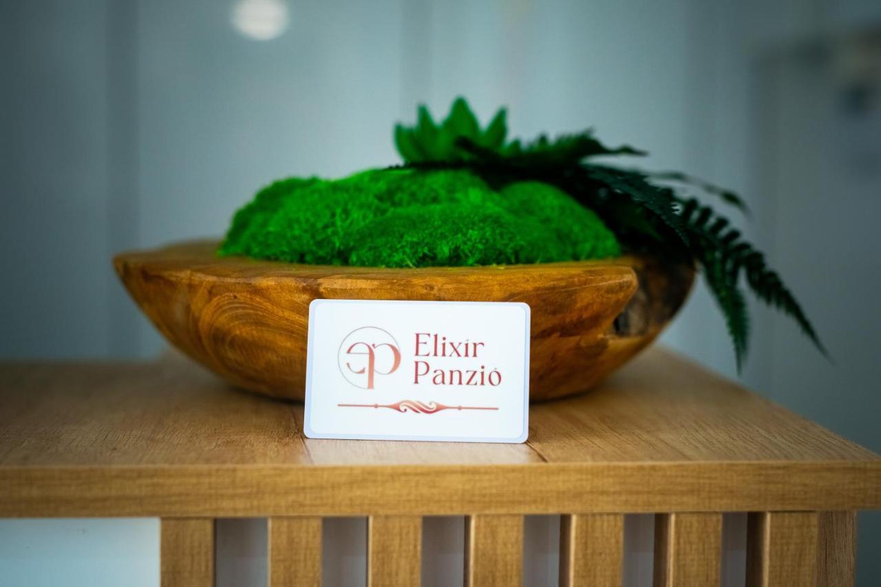 Elixir Panzio Bed & Breakfast Nyírbátor Екстериор снимка